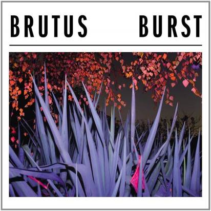 Brutus "Burst LP"