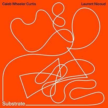 Caleb Wheeler Curtis & Laurent Nicoud "Substrate"