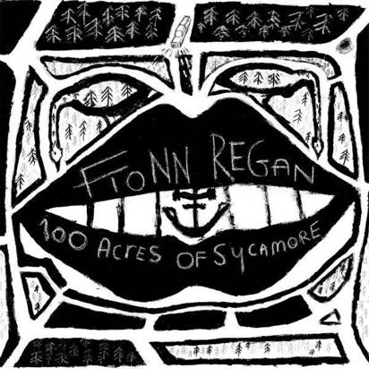 Fionn Regan "100 Acres Of Sycamore LP"