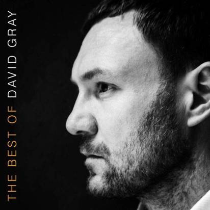 Gray, David "The Best Of"