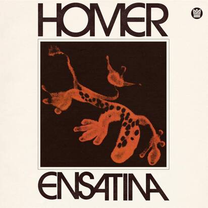 Homer "Ensatina LP"