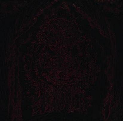 Impetuous Ritual "Blight Upon Martyred Sentience"