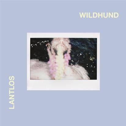 Lantlos "Wildhund"