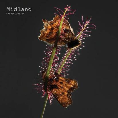Midland "Fabriclive 94 Midland"
