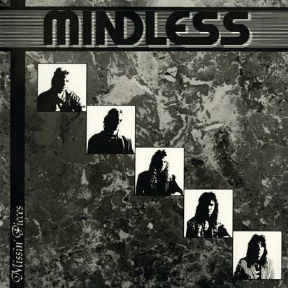 Mindless Sinner "Missin Pieces"