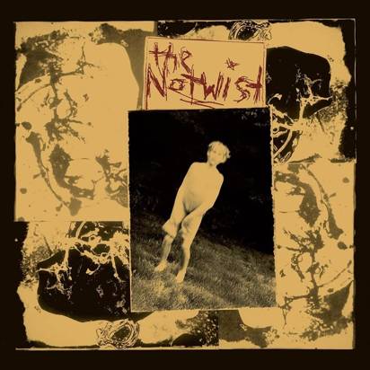 Notwist, The "The Notwist"
