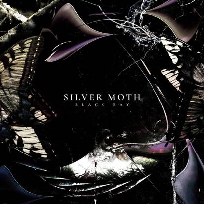 Silver Moth "Black Bay"
